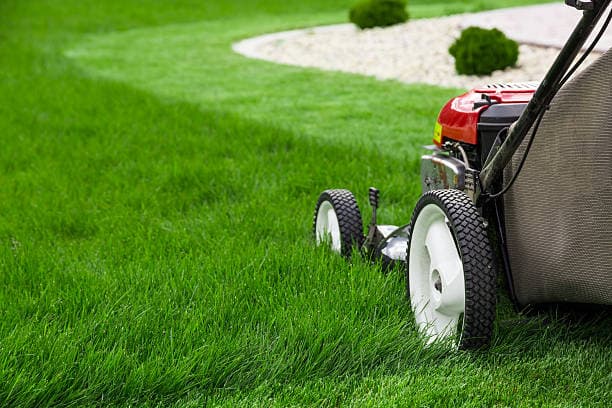 Image of someone mowing with a push mower